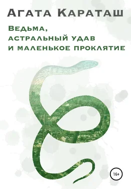 Агата Караташ Ведьма, астральный удав и маленькое проклятье обложка книги