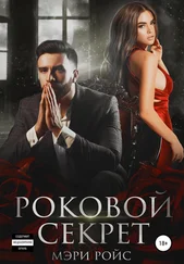 Мэри Ройс - Роковой секрет