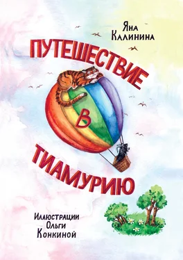 Яна Калинина Путешествие в Тиамурию обложка книги