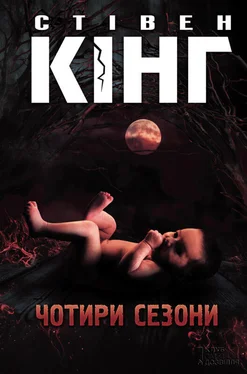 Стівен Кінг Чотири сезони обложка книги