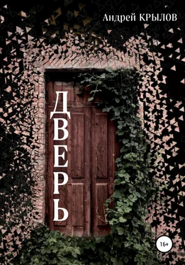 Андрей Крылов Дверь обложка книги