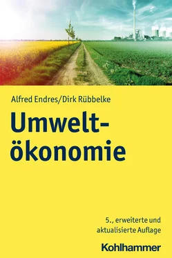 Dirk Rübbelke Umweltökonomie обложка книги