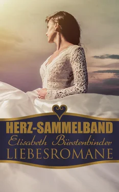 Elisabeth Bürstenbinder Herz-Sammelband: Elisabeth Bürstenbinder Liebesromane обложка книги