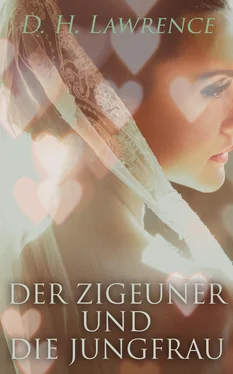 D. Lawrence Der Zigeuner und die Jungfrau обложка книги
