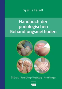 Sybille Feindt Handbuch der podologischen Behandlungsmethoden обложка книги