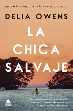 Delia Owens La chica salvaje обложка книги