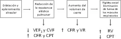 Figura 101 Cambios en la mecánica pulmonar que originan cambios en la función - фото 32