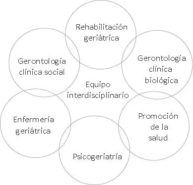 Figura 32 Áreas de la gerontología clínica Fuente Gómez F Curcio CL Salud - фото 6
