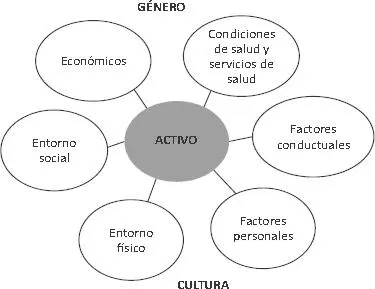 Figura 74 Determinantes del envejecimiento activo Fuente Adaptado de - фото 26