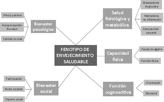 Figura 73 Dimensiones e indicadores de envejecimiento saludable Fuente - фото 25