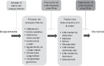 Figura 64 Comprensión de la morbilidad a través de la lentificación del - фото 21