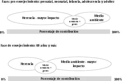 Figura 51 Influencia de la genética y el medio ambiente en los humanos Fuente - фото 16