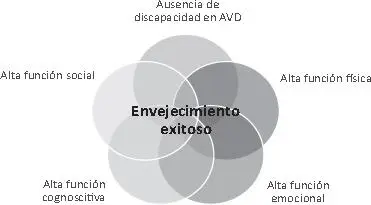 Figura 71 Esquema integrativo del envejecimiento exitoso Fuente Curcio CL - фото 22