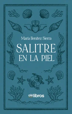 María Benítez Sierra Salitre en la piel обложка книги