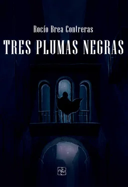 Roío Brea Contreras Tres plumas negras обложка книги
