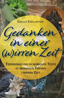 Gerald Ehegartner Gedanken in einer (w)irren Zeit обложка книги