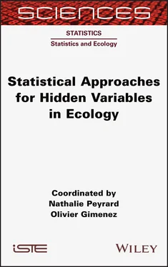 Nathalie Peyrard Statistical Approaches for Hidden Variables in Ecology обложка книги