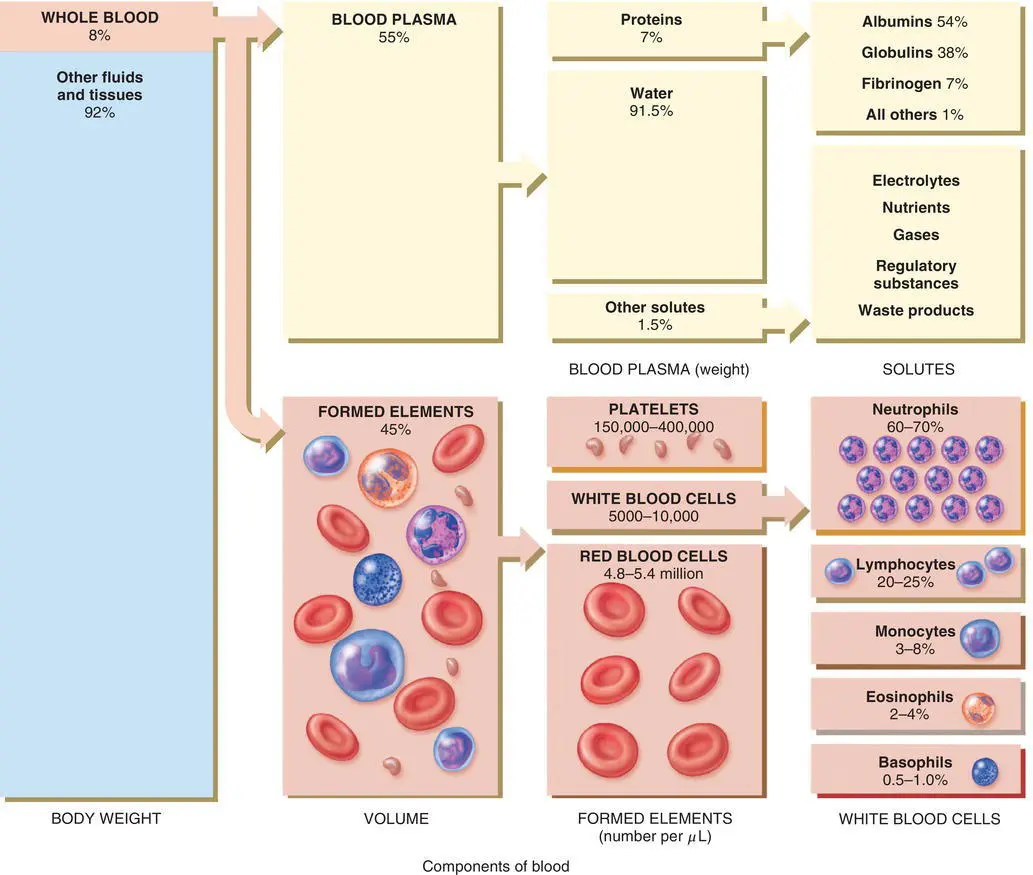 Figure 72 Three principal formed components red blood cells white blood - фото 26