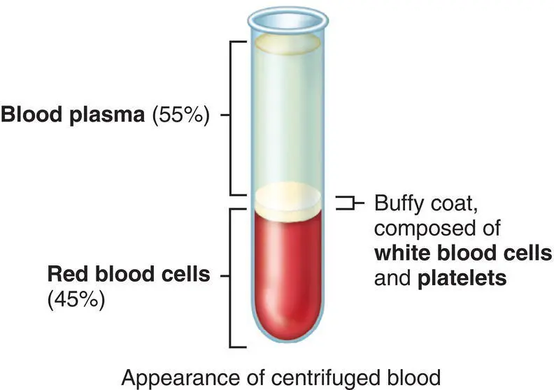 Figure 71 Centrifuged blood Source Tortora GJ Derrickson B Tortoras - фото 25