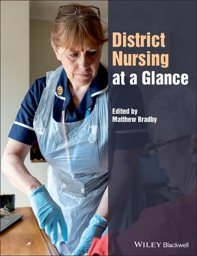 Matthew Bradby District Nursing at a Glance обложка книги