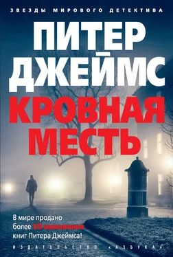 Питер Джеймс Кровная месть обложка книги