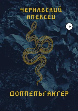Алексей Чернявский Доппельгангер обложка книги