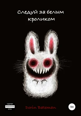 Dorin Bateman Следуй за белым кроликом обложка книги