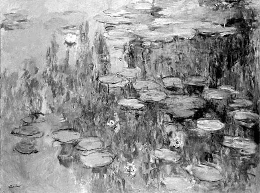 Водяные лилии Клод Моне Летом и осенью 1985 года в Северной Англии - фото 40