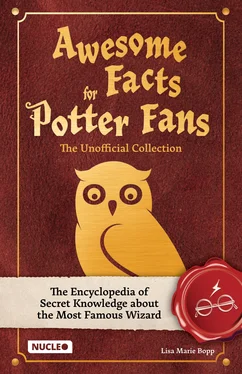Lisa Marie Bopp Awesome Facts for Potter Fans – The Unofficial Collection обложка книги