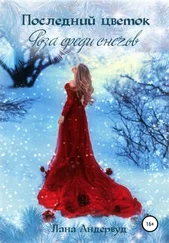 Лана Андервуд - Последний цветок. Роза среди снегов