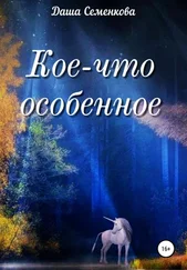 Даша Семенкова - Кое-что особенное