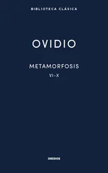 Publio Ovidio - Metamorfosis. Libros VI-X