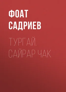 Фоат Садриев Тургай. Сайрар чак обложка книги