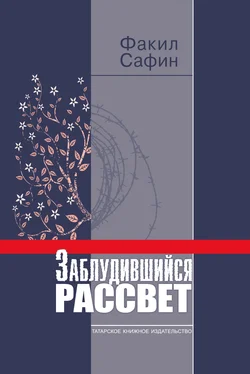 Факил Сафин Заблудившийся рассвет обложка книги