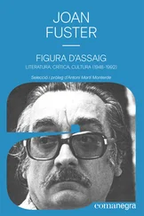 Joan Fuster - Figura d'assaig