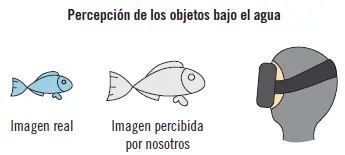 42 Modificaciones acústicas Bajo el agua varía la transmisión del sonido y el - фото 25