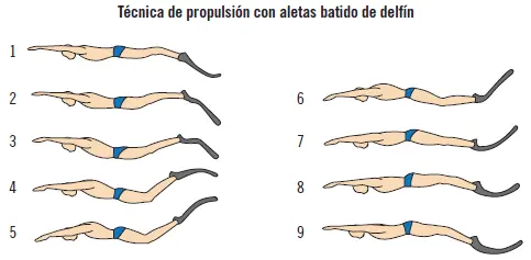 Recuerde El buceo con ayuda de material subacuático sencillo es la mejor forma - фото 15