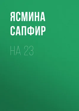 Ясмина Сапфир На 23 обложка книги