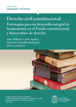 José Guillermo Castro Ayala Derecho civil constitucional обложка книги