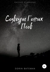 Dorin Bateman - Созвездие Гончих Псов