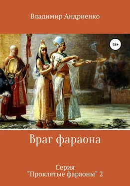 Владимир Андриенко Враг фараона обложка книги