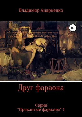 Владимир Андриенко Друг фараона обложка книги