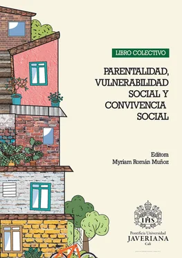 Myriam Román Muñoz LIBRO COLECTIVO: Parentalidad, Vulnerabilidad Social y Convivencia Social обложка книги