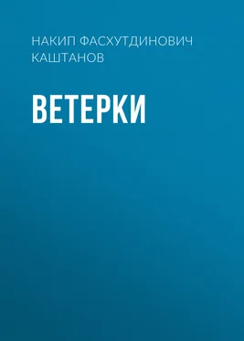 Накип Каштанов Ветерки обложка книги