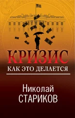 Николай Стариков - Кризис. Как это делается