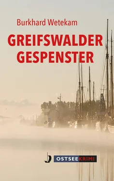 Burkhard Wetekam Greifswalder Gespenster обложка книги