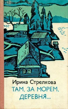 Ирина Стрелкова Там за морем деревня… обложка книги