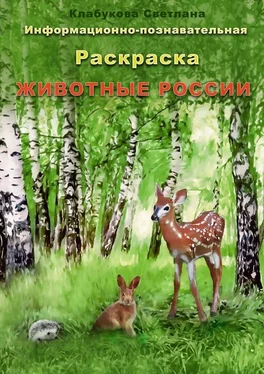 Светлана Клабукова Информационно-познавательная раскраска «Животные России» обложка книги