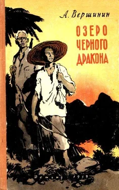 Анатолий Вершинин Озеро Черного Дракона обложка книги