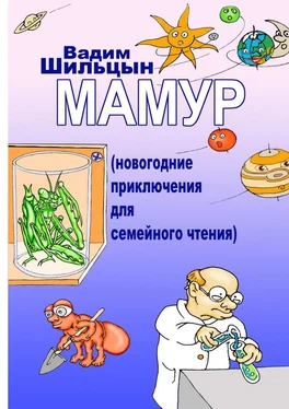 Вадим Шильцын Мамур. Новогодние приключения для семейного чтения обложка книги